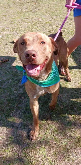 Tucker
