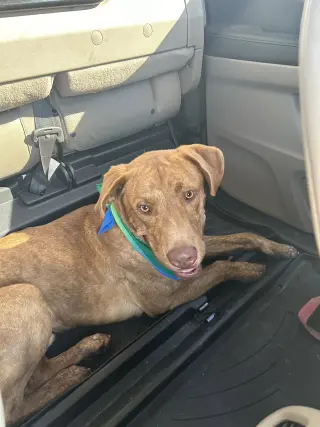 Tucker