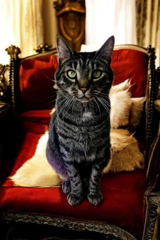 Sir Charles