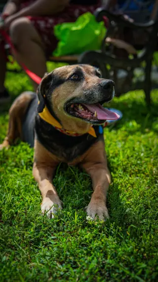 Abby - Awesome Girl!