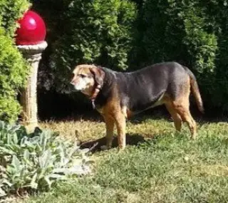 Abby - Awesome Girl!