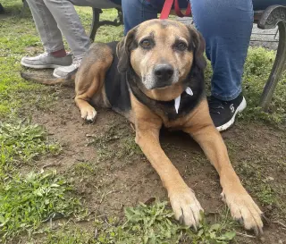 Abby - Awesome Girl!