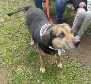 Abby - Awesome Girl!