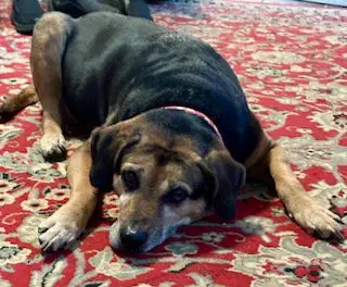 Abby - Awesome Girl!