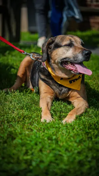 Abby - Awesome Girl!