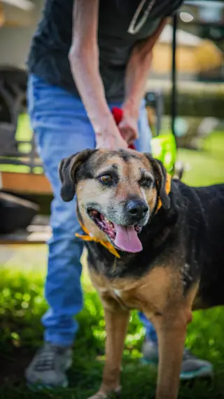 Abby - Awesome Girl!