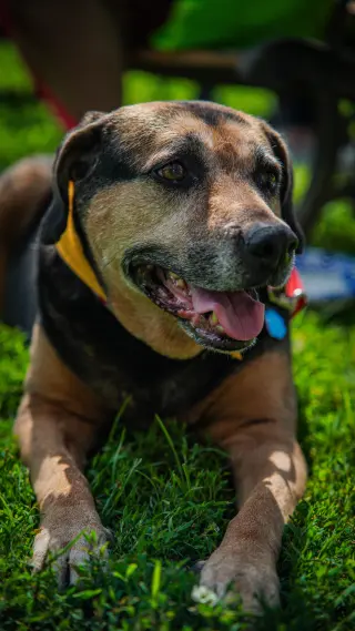 Abby - Awesome Girl!
