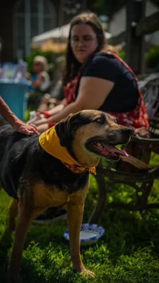 Abby - Awesome Girl!