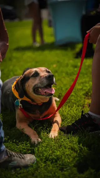Abby - Awesome Girl!