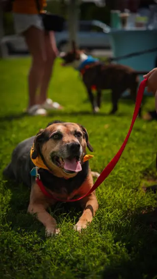Abby - Awesome Girl!