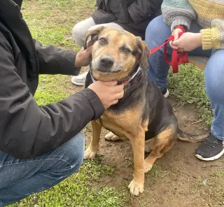 Abby - Awesome Girl!