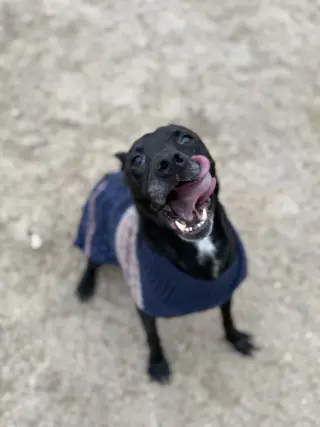 Zeus