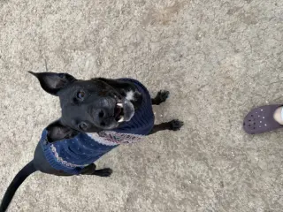 Zeus