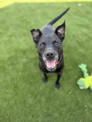 Zeus