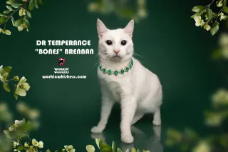 DR TEMPERANCE "BONES" BRENNAN