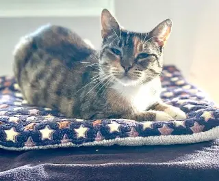 EmmyLou