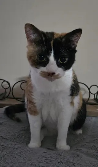 Trixie