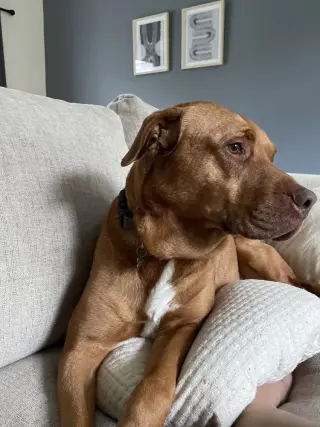 JT