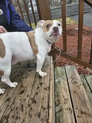 Roxy