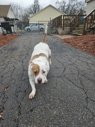 Roxy