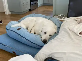 Darby