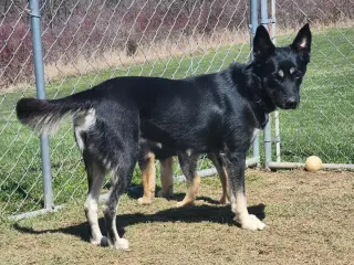 D122 Litter Luna, mom