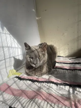 Lil Girl