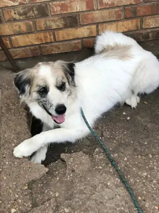 Tucker