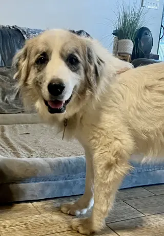 Tucker
