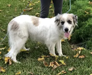 Tucker