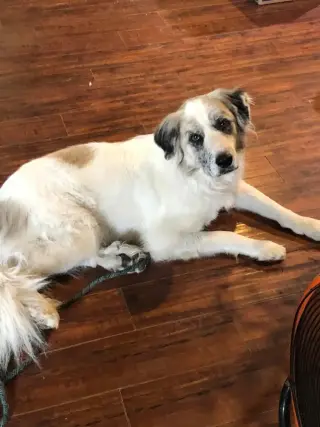Tucker