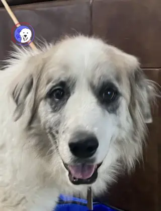 Tucker