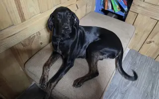 Duke