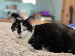 Emily