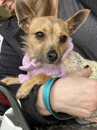 Ruthie