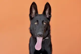 AZULA