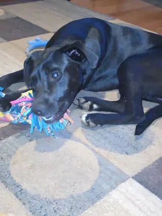 Jax