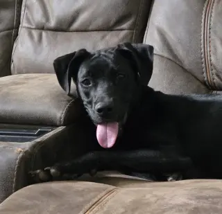 Jax