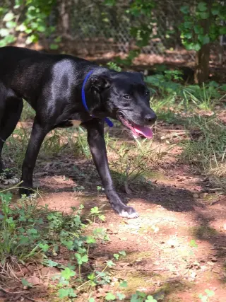 Jax