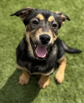 Zuko