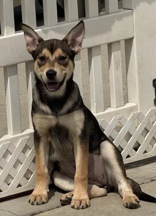 Kya