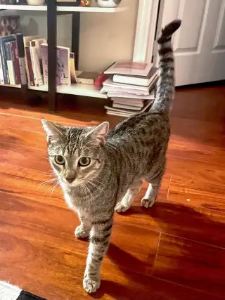 Timmy