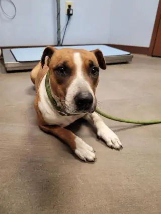 PEEP