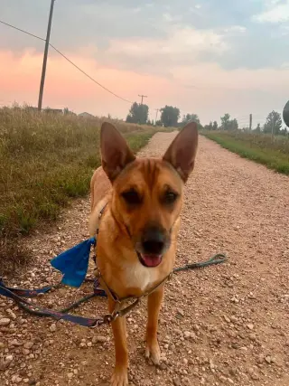 Aeris