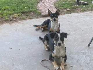 Linus and Lucy (Courtesy)