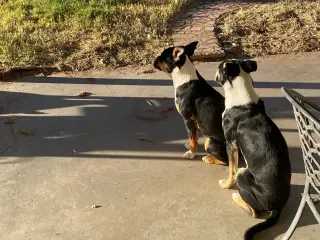 Linus and Lucy (Courtesy)