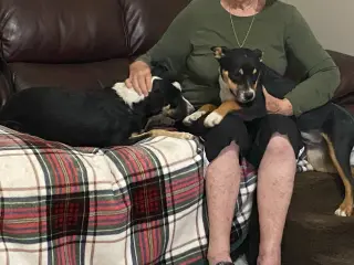 Linus and Lucy (Courtesy)