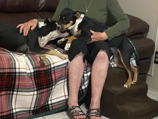 Linus and Lucy (Courtesy)