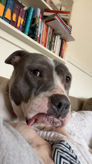 Luna