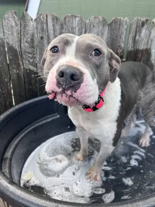 Luna